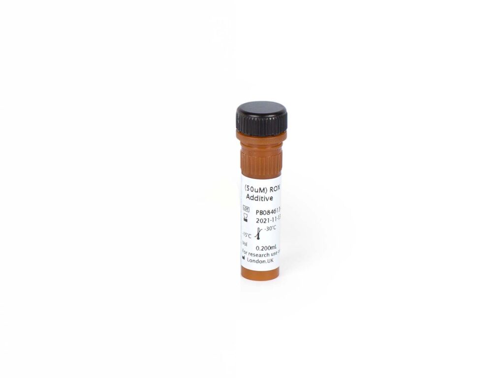 Accessory PCR products