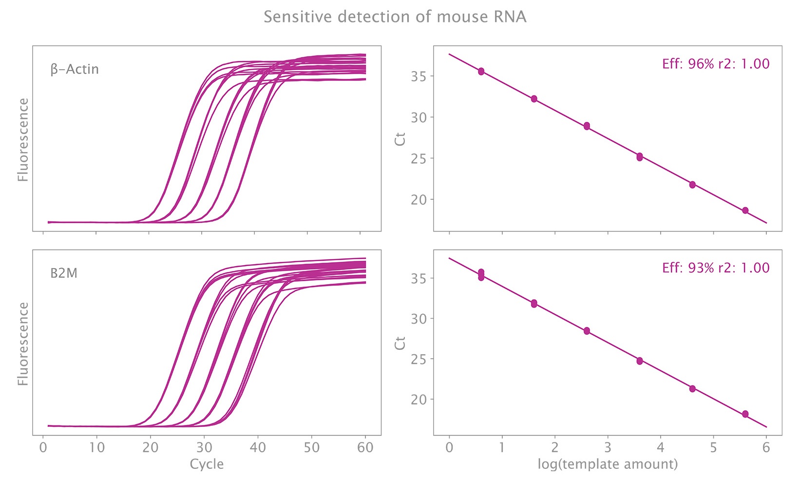 マウス RNA によるシングルプレックス感度