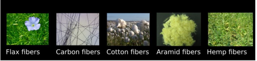 FiberShape による繊維画像の解析