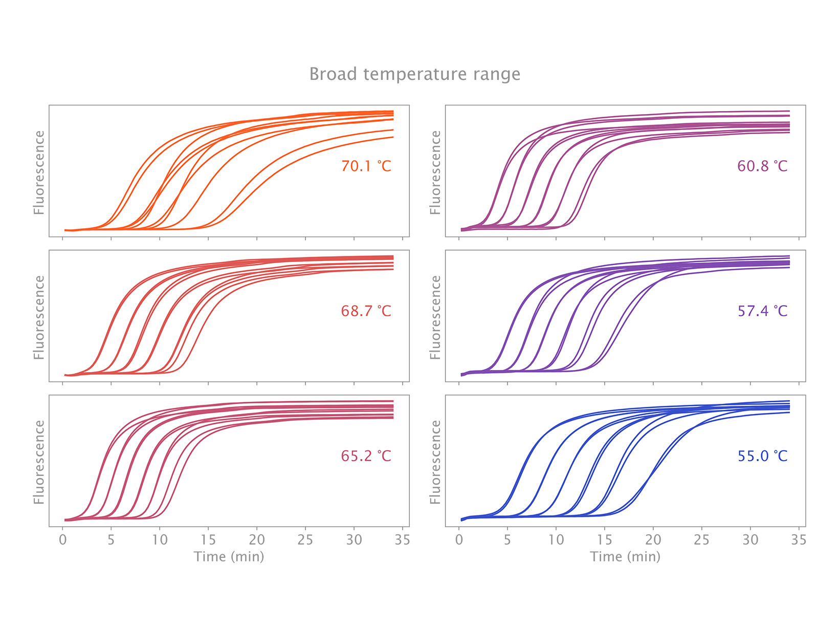 IsoFast Bst Polymerase 広い温度範囲での活性