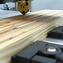 LIGNOSTATION