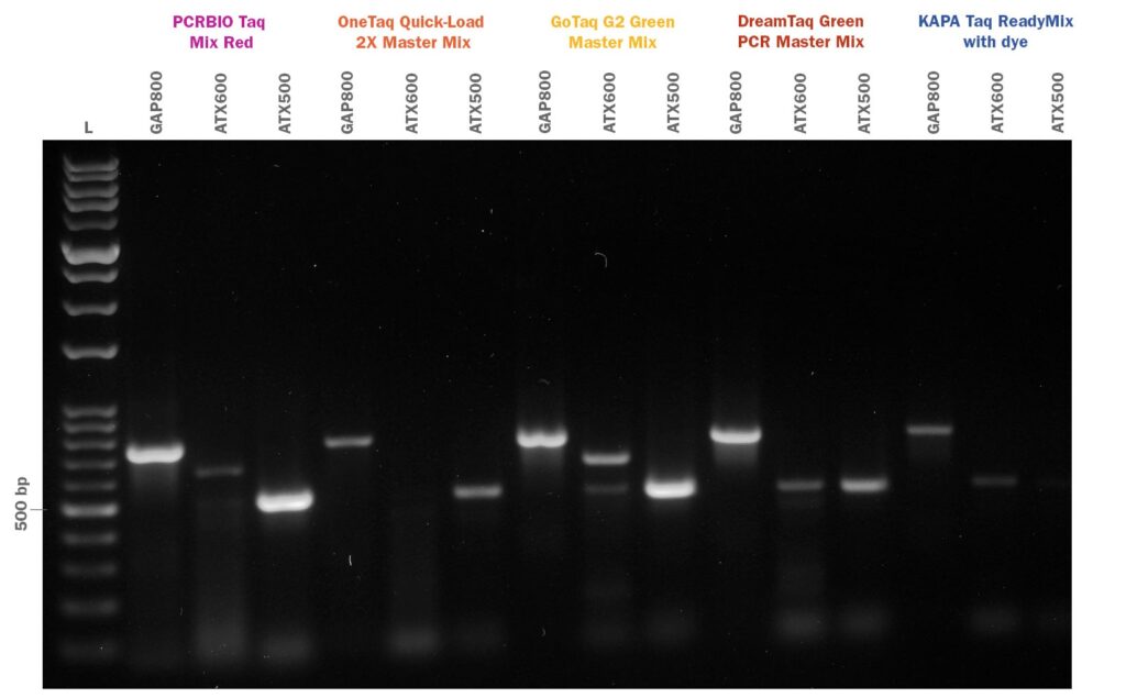 PCRBIO Taq Mix Red 競合比較(GCリッチフラグメント)