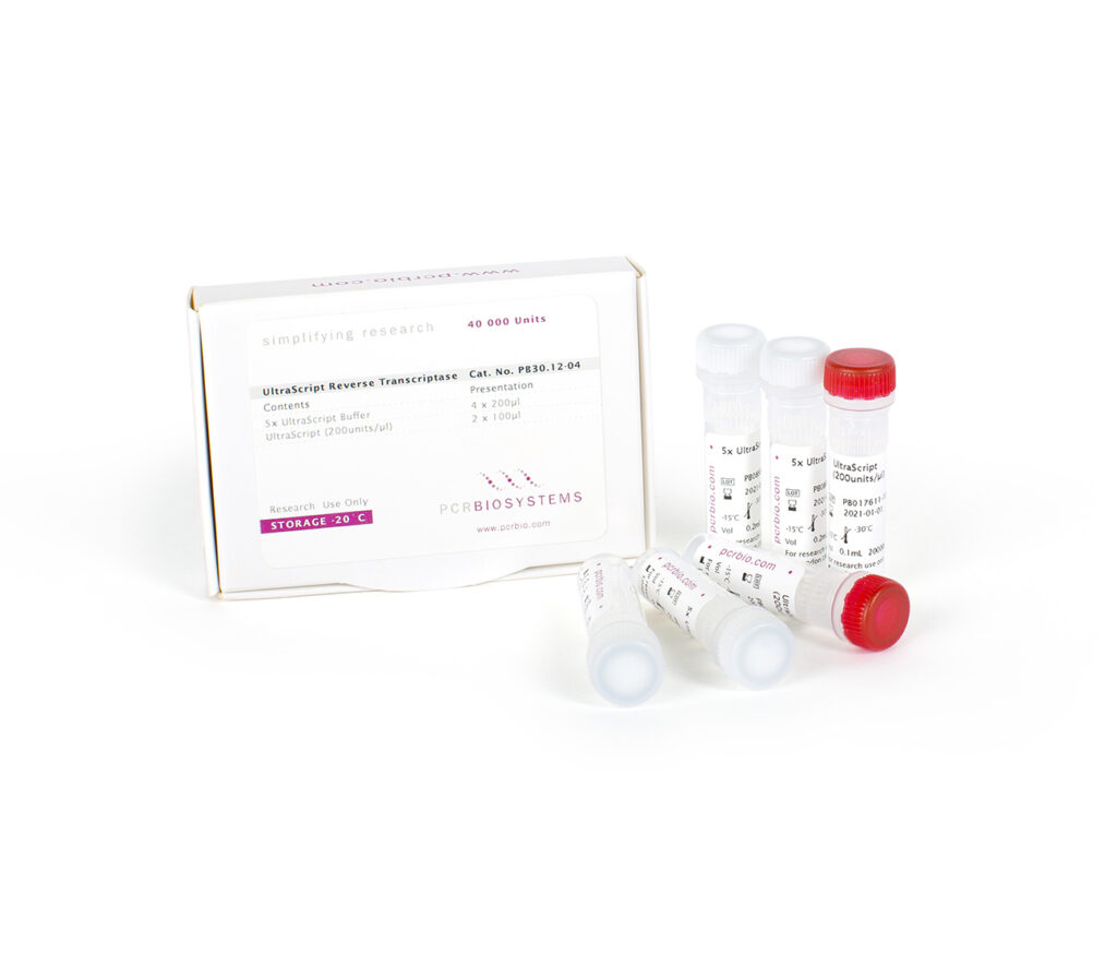 UltraScript Reverse Transcriptase 製品
