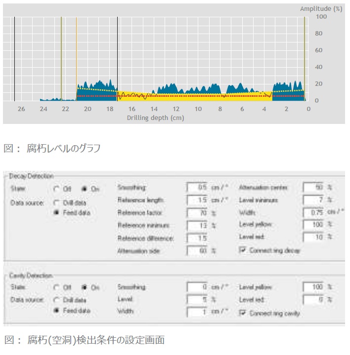 初期腐朽の検出