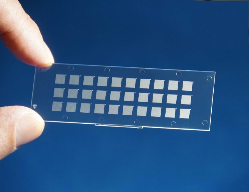 single cell microarray chip